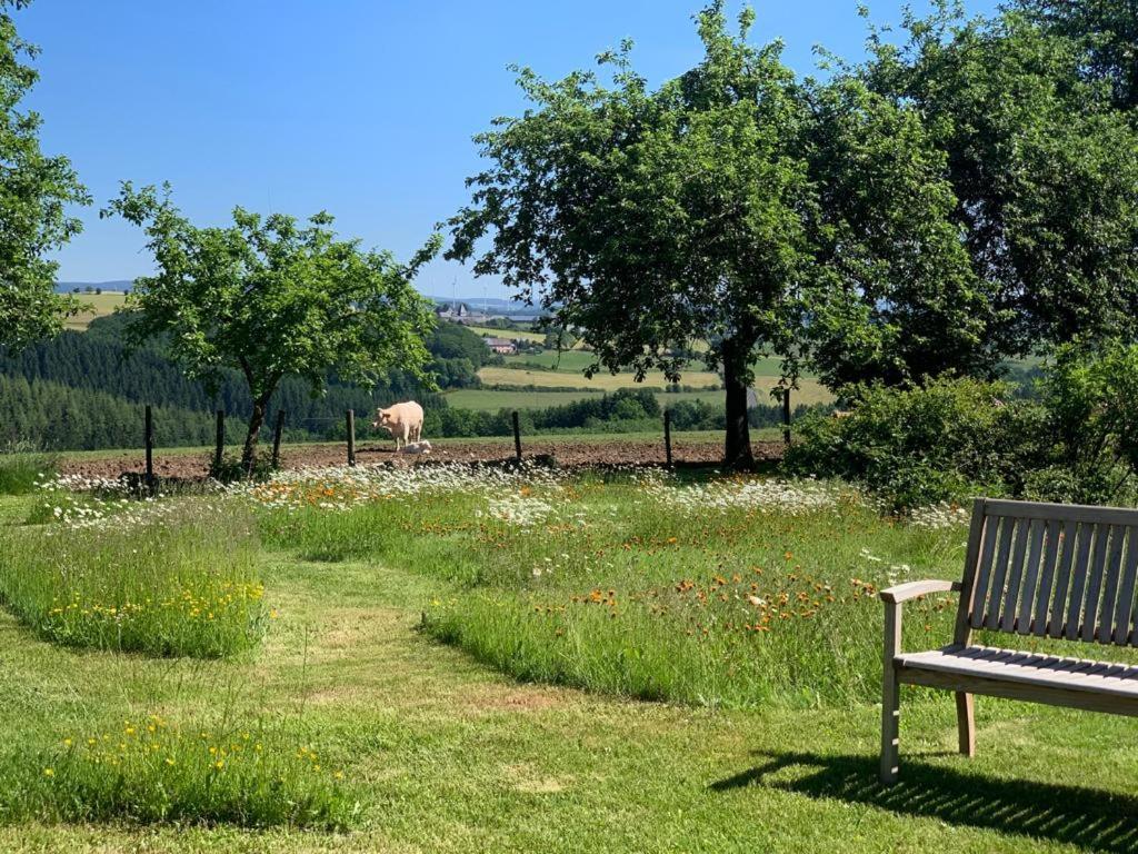 Apartmán Urlaub Mit Hund Auf Dem Bauernhof Hofswald Euscheid Exteriér fotografie