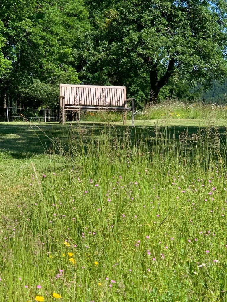 Apartmán Urlaub Mit Hund Auf Dem Bauernhof Hofswald Euscheid Exteriér fotografie
