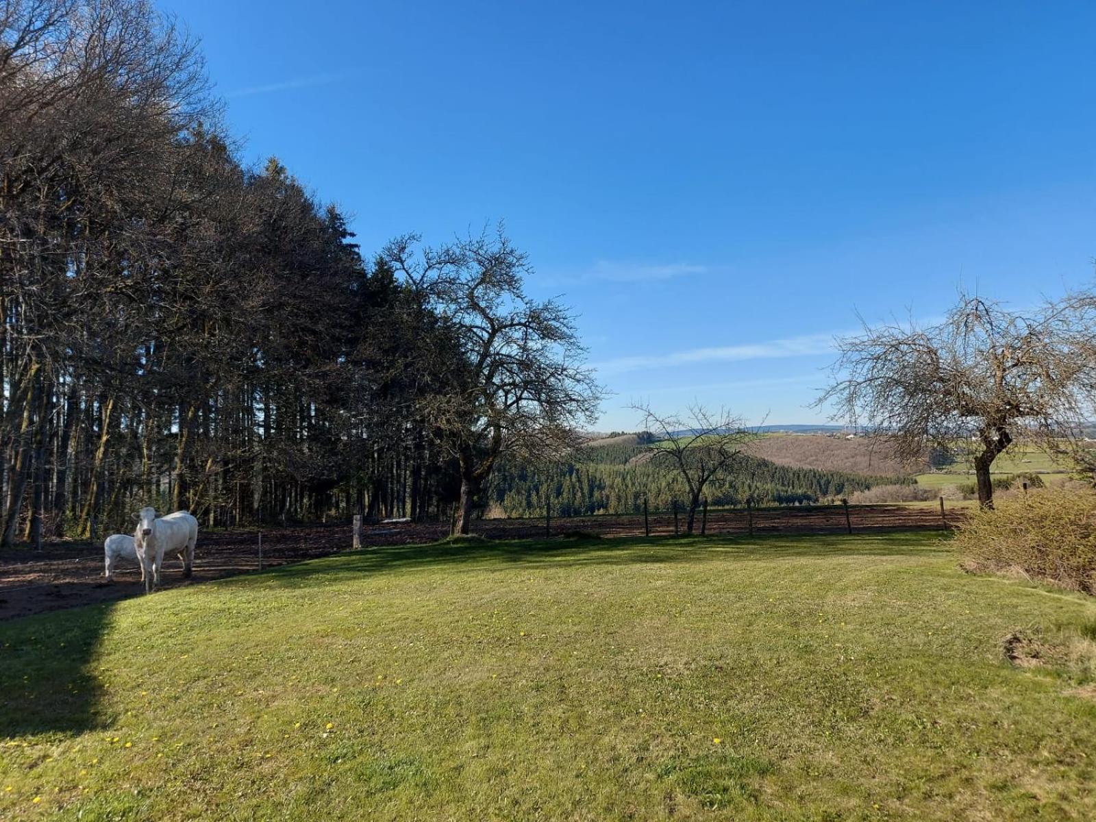 Apartmán Urlaub Mit Hund Auf Dem Bauernhof Hofswald Euscheid Exteriér fotografie
