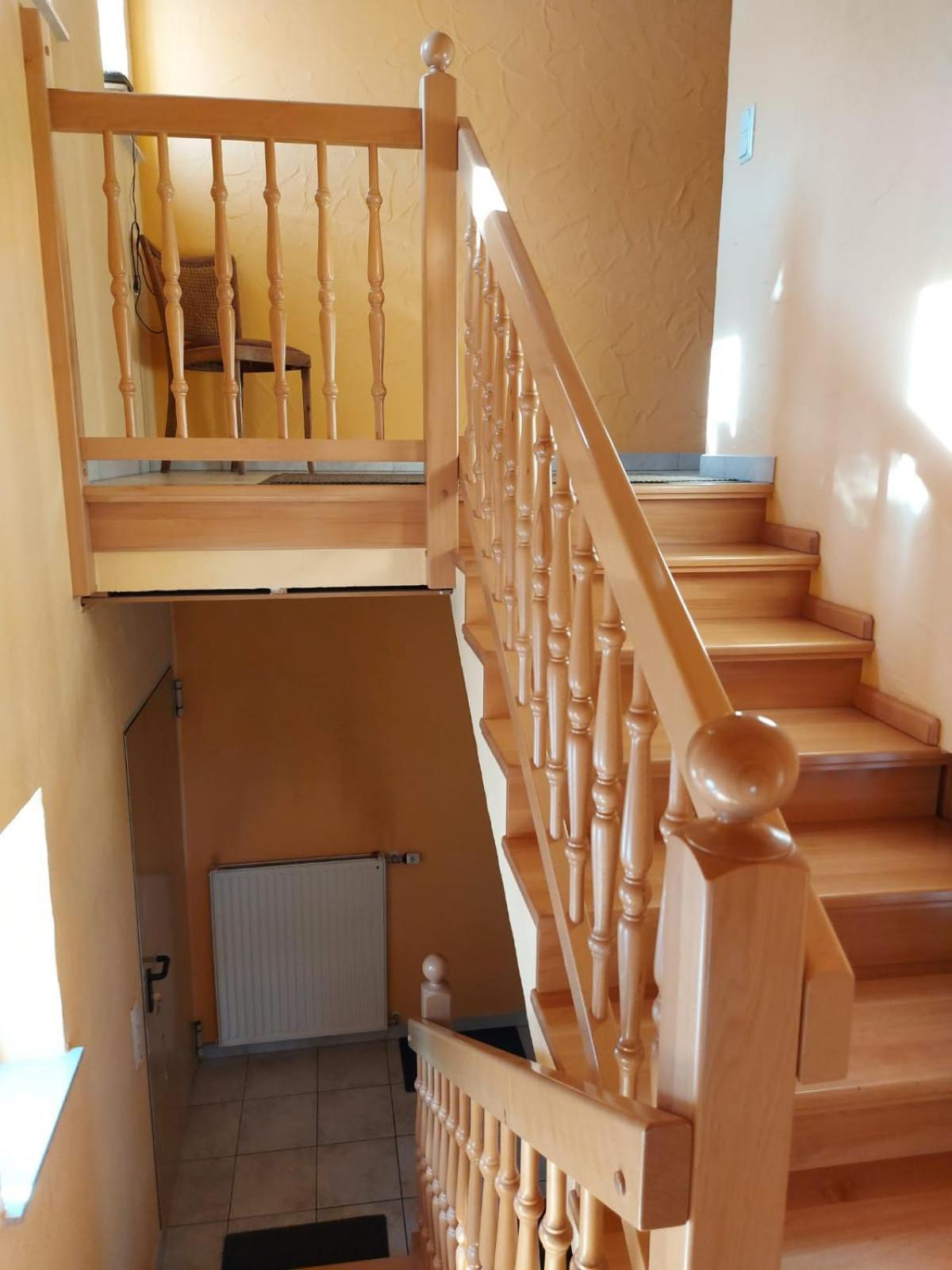 Apartmán Urlaub Mit Hund Auf Dem Bauernhof Hofswald Euscheid Exteriér fotografie