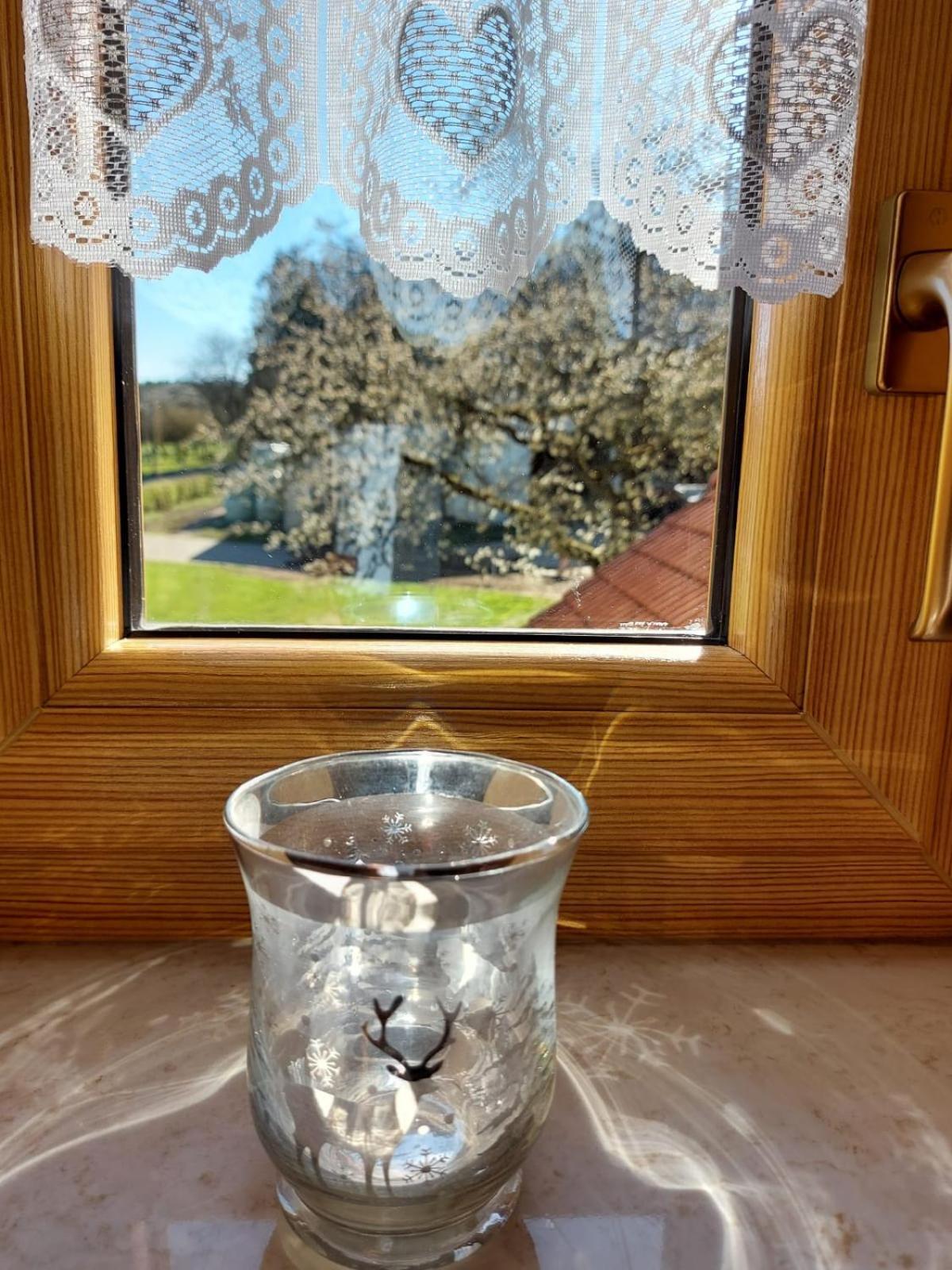 Apartmán Urlaub Mit Hund Auf Dem Bauernhof Hofswald Euscheid Exteriér fotografie